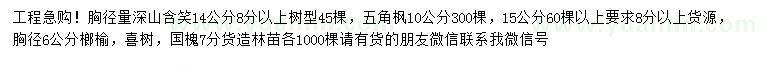 求購(gòu)深山含笑、五角楓、榔榆等