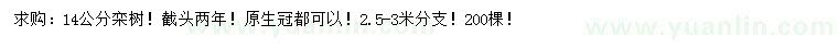 求購14公分欒樹
