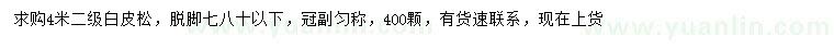 求購(gòu)4米白皮松