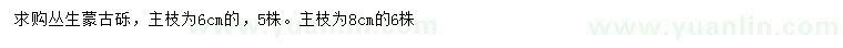 求購主枝6、8公分叢生蒙古礫