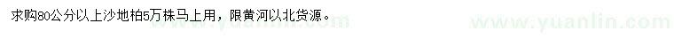 求購80公分以上沙地柏