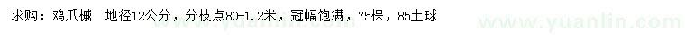 求購地徑12公分雞爪槭