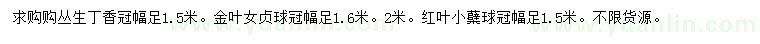 求購叢生丁香、金葉女貞球、紅葉小檗