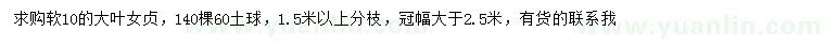 求購軟10公分大葉女貞
