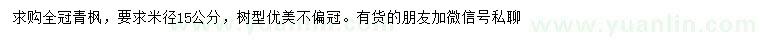 求購米徑15公分香楓