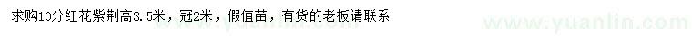 求購10公分紅花紫荊