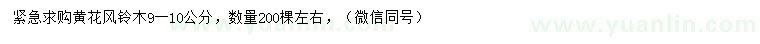 求購9-10公分黃花風(fēng)鈴木