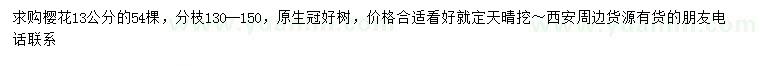 求購13公分櫻花