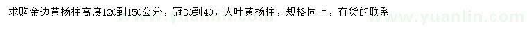 求購高120-150公分金邊黃楊柱