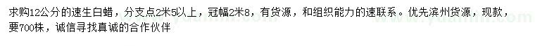 求購12公分速生白蠟