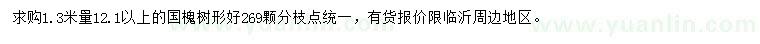 求購1.3米量12.1公分以上國槐