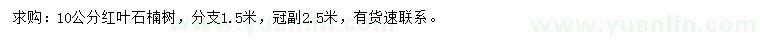 求購10公分紅葉石楠