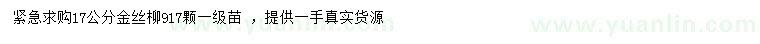求購(gòu)17公分金絲柳