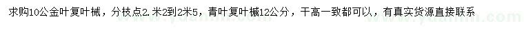 求購10公金葉復(fù)葉槭、12公分青葉復(fù)葉槭