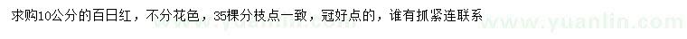 求購10公分百日紅