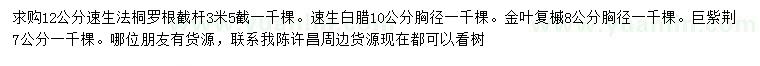 求購(gòu)速生法桐、速生白臘、金葉復(fù)槭等