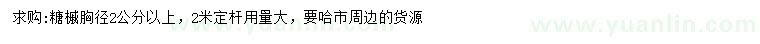 求購胸徑2公分以上糖槭