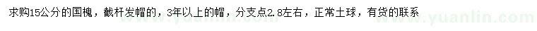 求購15公分國槐