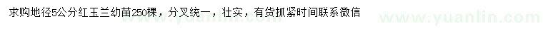 求購地徑5公分紅玉蘭苗
