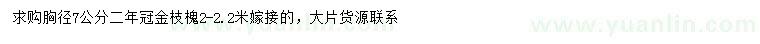 求購(gòu)胸徑7公分金枝槐