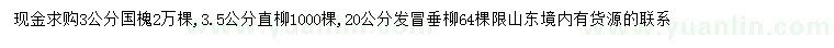 求購(gòu)國(guó)槐、直柳、垂柳
