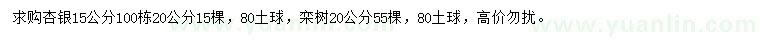 求購15公分杏銀、20公分欒樹