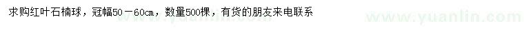 求購(gòu)冠幅50-60公分紅葉石楠球