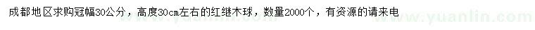 求購冠幅30公分紅繼木球