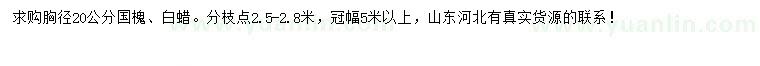 求購胸徑20公分國槐、白蠟