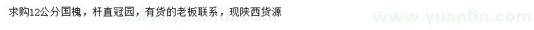 求購12公分國槐