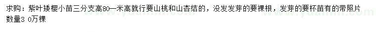求購(gòu)高80-100公分紫葉矮櫻
