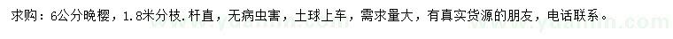 求購6公分晚櫻