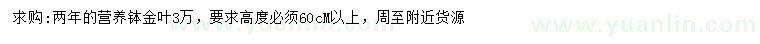 求購(gòu)高60公分以上金葉