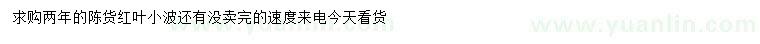 求購兩年紅葉小檗