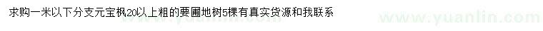 求購20公分元寶楓