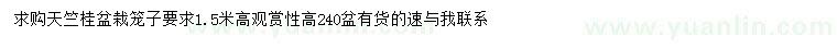 求購高1.5米天竺桂