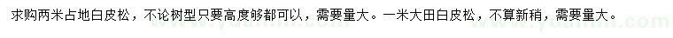 求購1、2米白皮松、