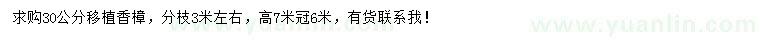 求購(gòu)30公分移植香樟