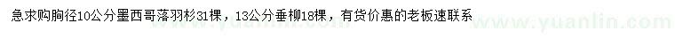 求購胸徑10公分墨西哥落羽杉、13公分垂柳