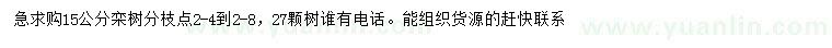 求購(gòu)15公分欒樹