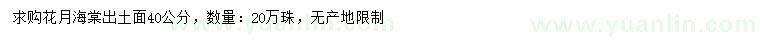 求購(gòu)40公分花月海棠