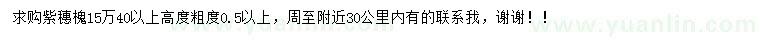 求購(gòu)高40公分以上紫穗槐