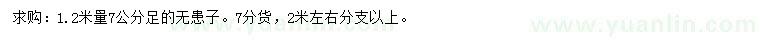 求購1.2米量7公分足無患子