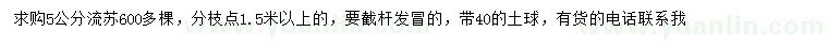 求購(gòu)5公分流蘇
