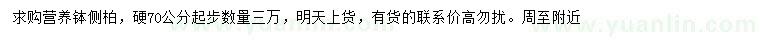 求購硬70公分起步側(cè)柏