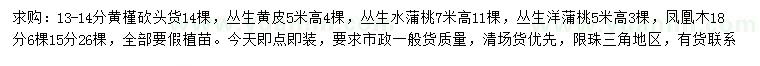求購黃槿、叢生黃皮、叢生水蒲桃等