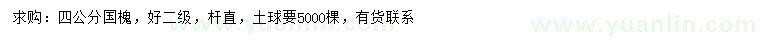 求購4公分國槐
