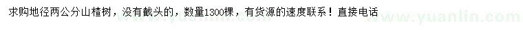 求購地徑2公分山楂樹