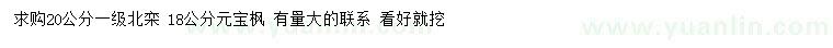 求購20公分北欒、18公分元寶楓