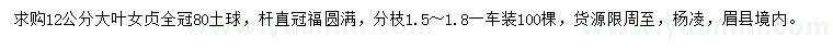 求購12公分大葉女貞